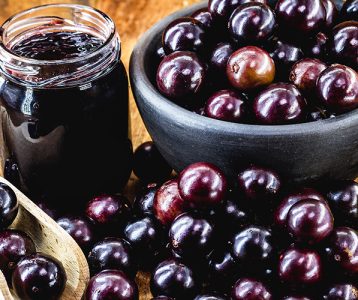 super-saudavel-materia-da-edicao-jabuticaba-e-gigante-em-beneficios Jabuticaba é rica em compostos bioativos