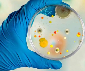 Bactérias resistentes a antibióticos