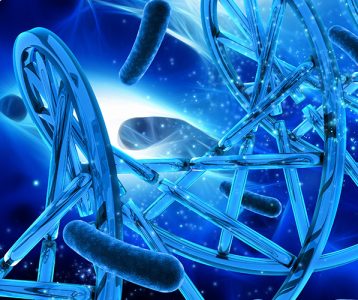 Espécies reativas de oxigênio