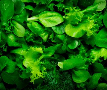 destaque-super-saudavel-nutricao-veganismo-vegetarianismo Escolhas dietéticas e estilo de vida
