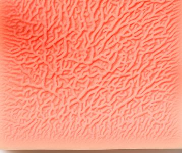 Hipoderme epiderme e derme