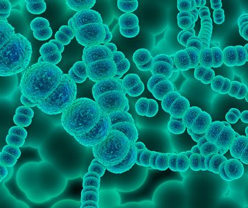 Eixo microbioma-intestino-cérebro