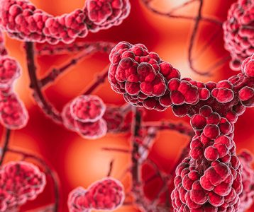 Células dos linfonodos sofrem mutações