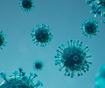 Metapneumovírus humano