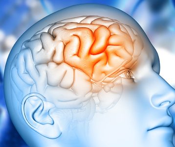 destaque-super-saudavel-tecnologia-compensacao-cerebral-apos-trauma Córtex pré-frontal recupera funcionalidade